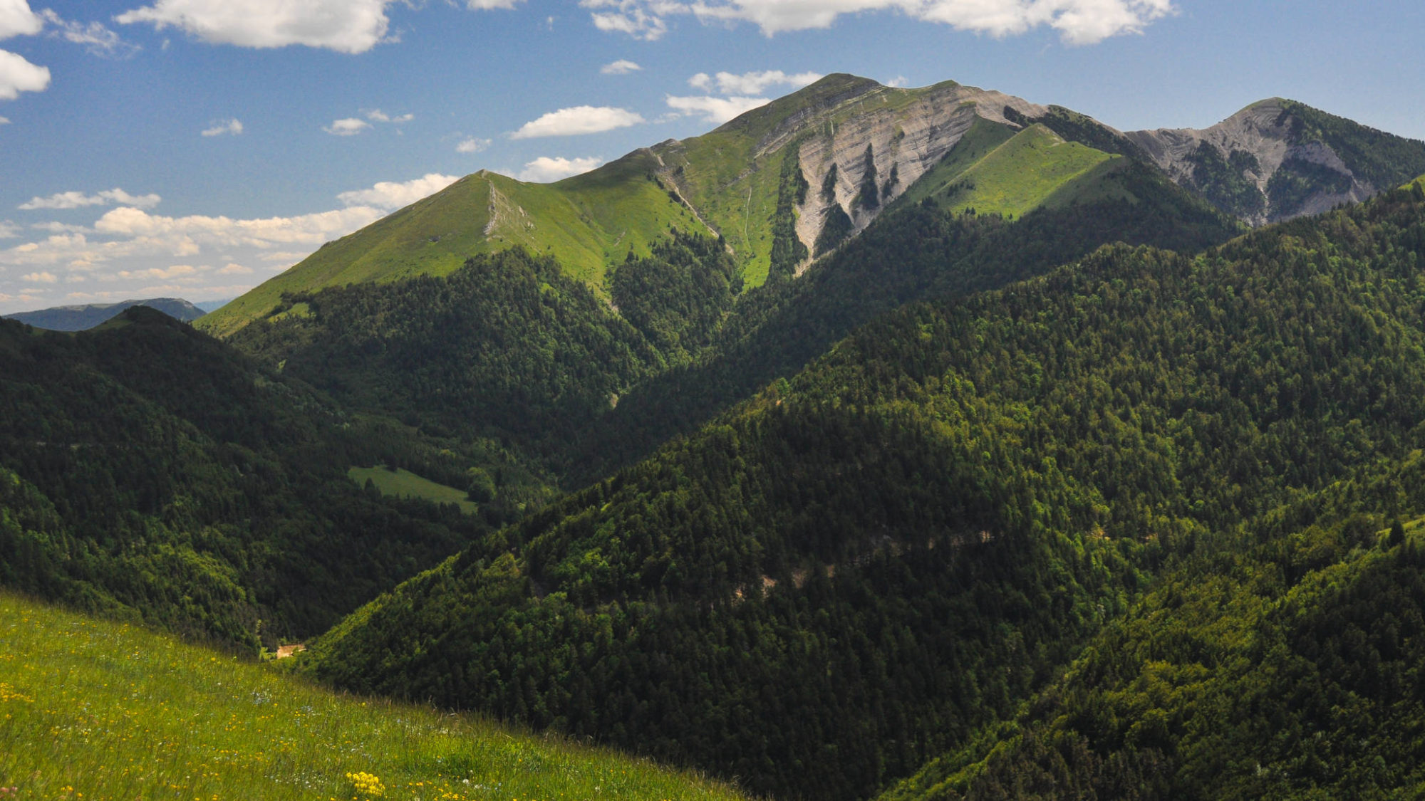 tour du haut