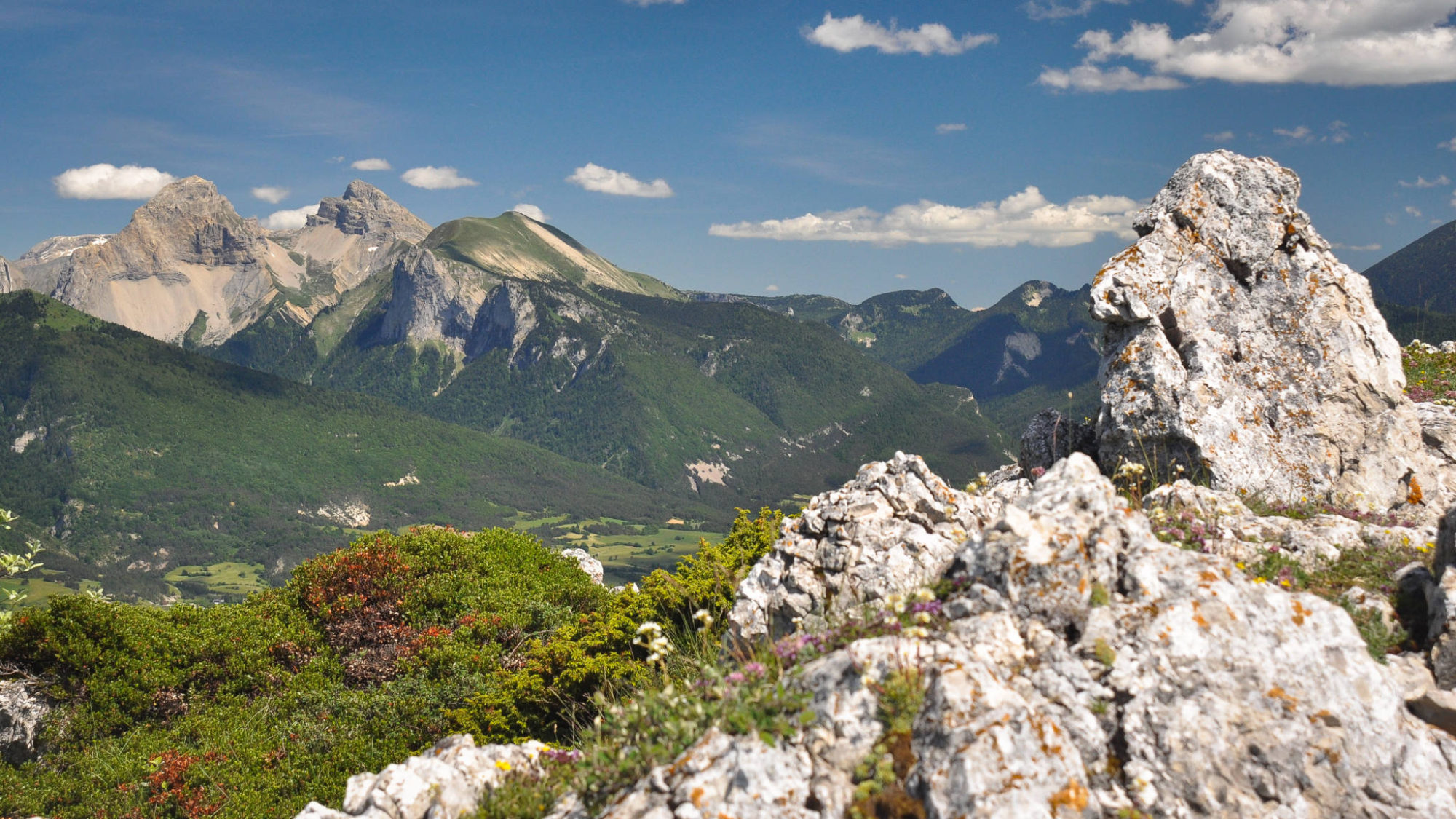 tour du haut