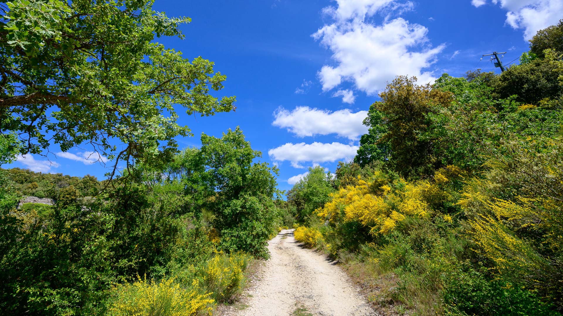 Rando avec un âne, au pays des Ocres du Luberon - Vercors Escapade