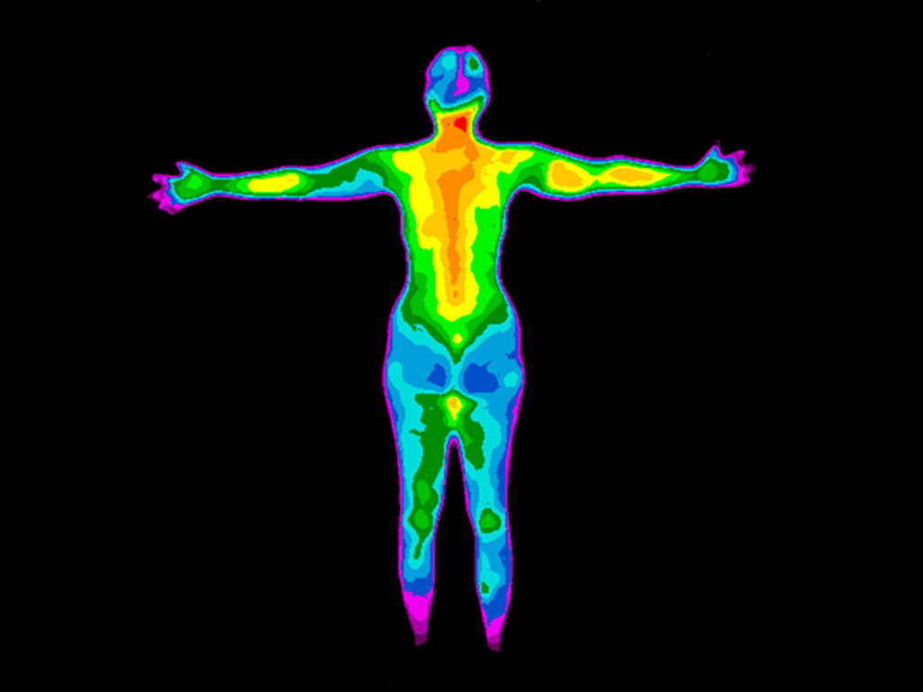 vision thermique du corps montrant les zones les plus chaudes et les plus froides