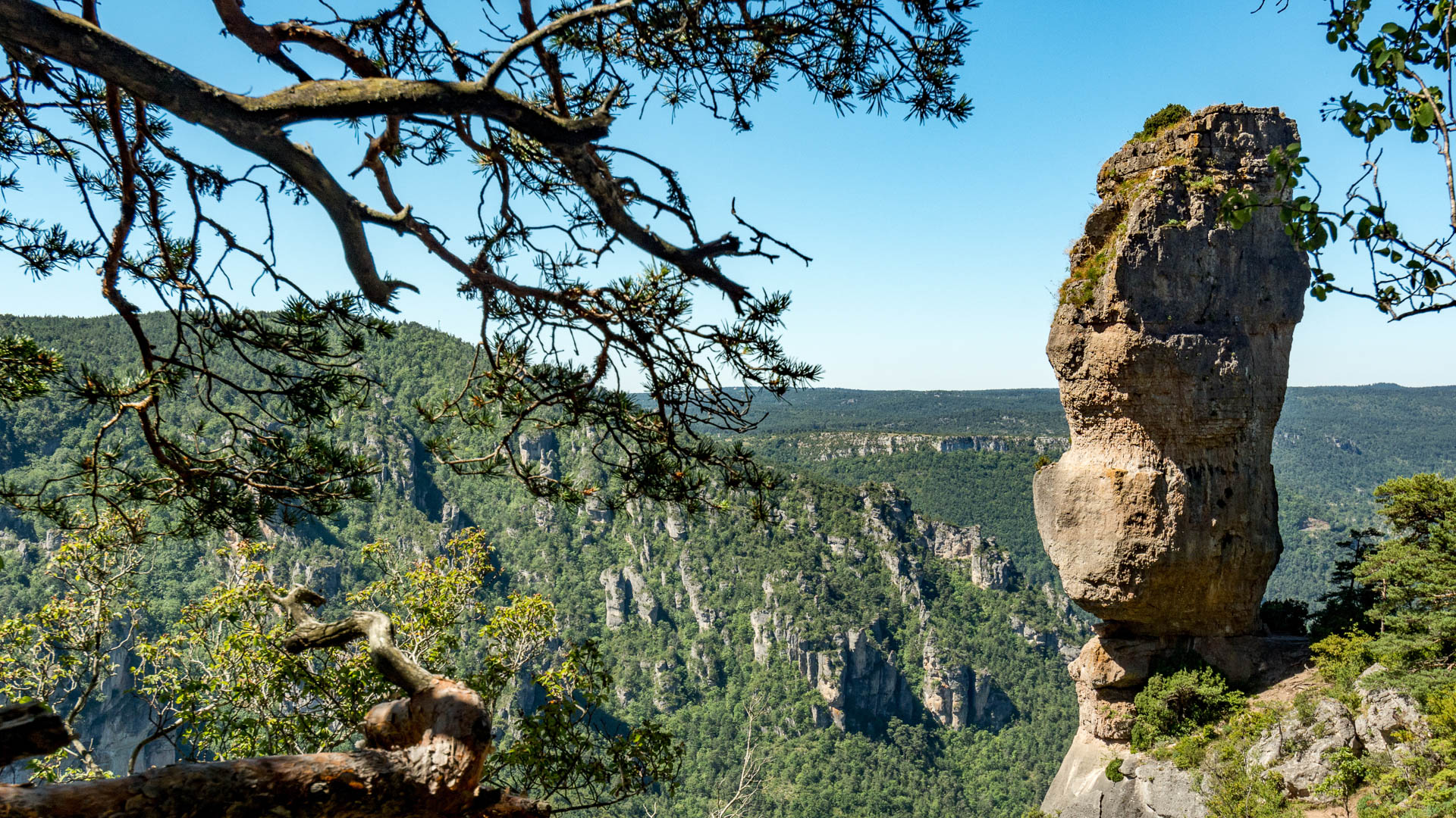 Le fameux Vase de Sèvre qui domine les gorges de la Jonte